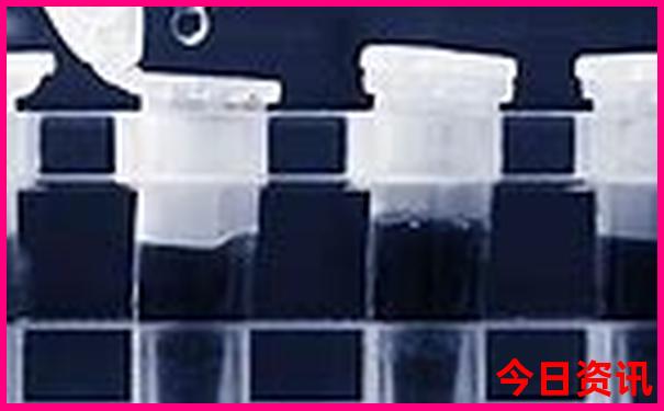 福鼎有什么好玩的地方